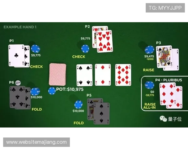 德州扑克国际官网入口：官方入口的安全措施与隐私保护策略分析